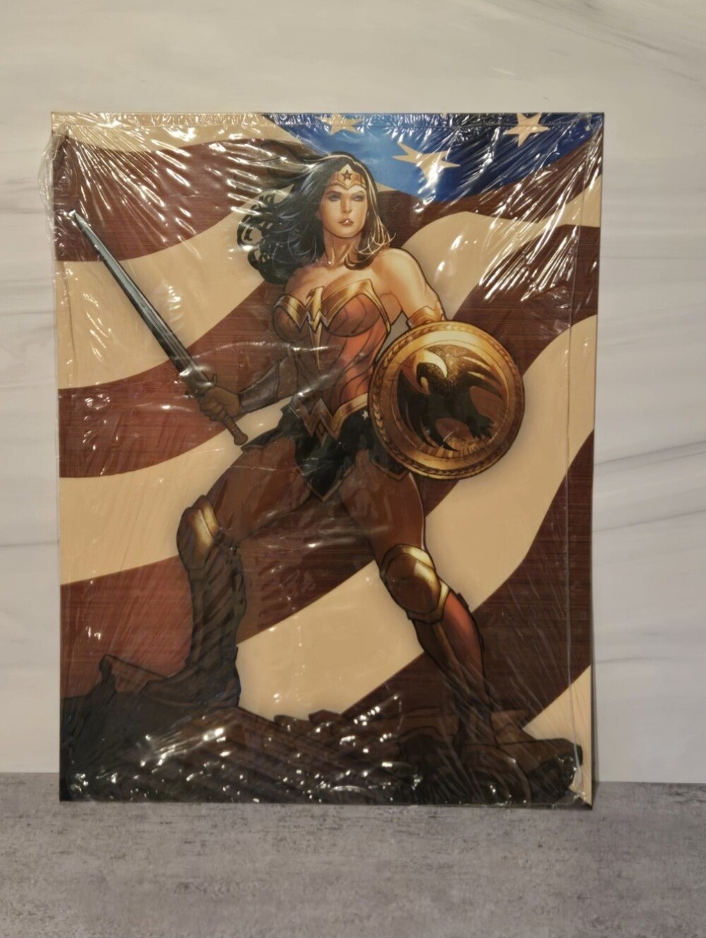 Wonder Woman Metal Print